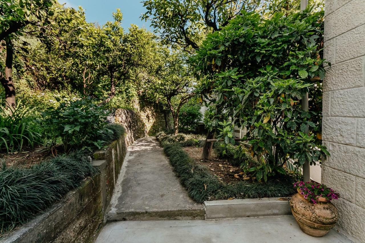 Boka Apartment 4 Herceg Novi Buitenkant foto